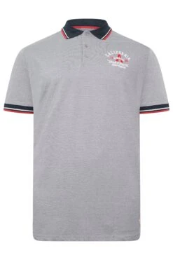 D555 Big & Tall Grey Embroidered Polo Shirt -Menswear Mode Sales Store 263fe81e 474e 41 207615 X