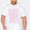 JACK & JONES Big & Tall White Originals Palm Tree Print T-Shirt