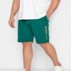JACK & JONES Big & Tall Green Logo Jogger Shorts