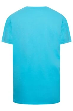 U.S. POLO ASSN. Big & Tall Light Blue Authentic T-Shirt -Menswear Mode Sales Store 798b1e73 506c 40 207894 Y