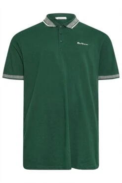 BEN SHERMAN Big & Tall Green Chevron Collar Polo Shirt